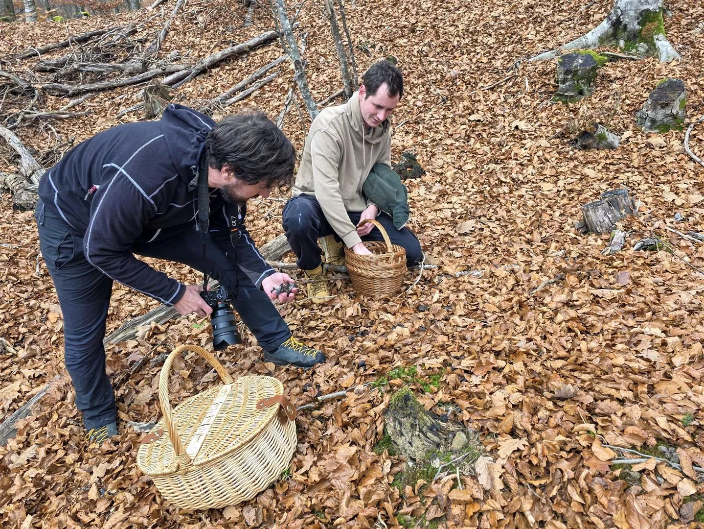 Raziskovanje gliv v gozdu